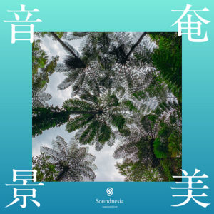 奄美音景 ～島北部の自然音～
